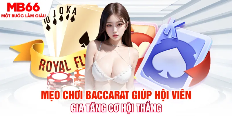 vn68 đá gà 88