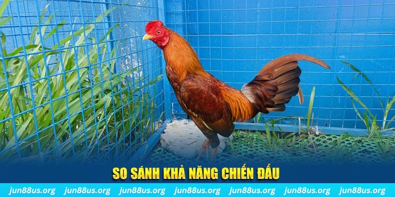 vn68 xổ số tiền giang