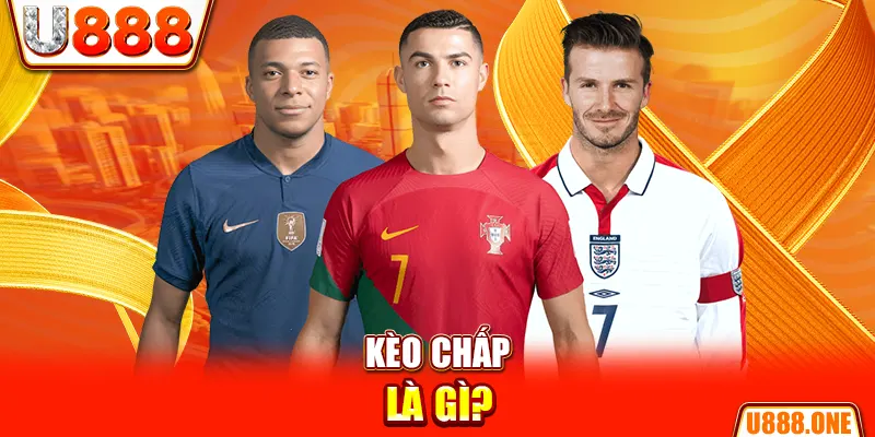 vn68 chổi lông gà