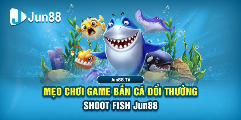 vn68 tai game danh bai bigkool ve may tinh