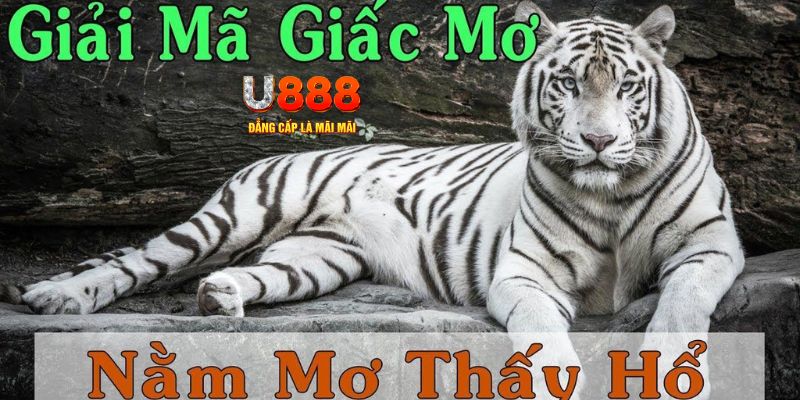 vn68 xổ số kiến thiết miền bắc