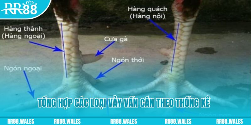 vn68 nổ hũ chơi như thế nào
