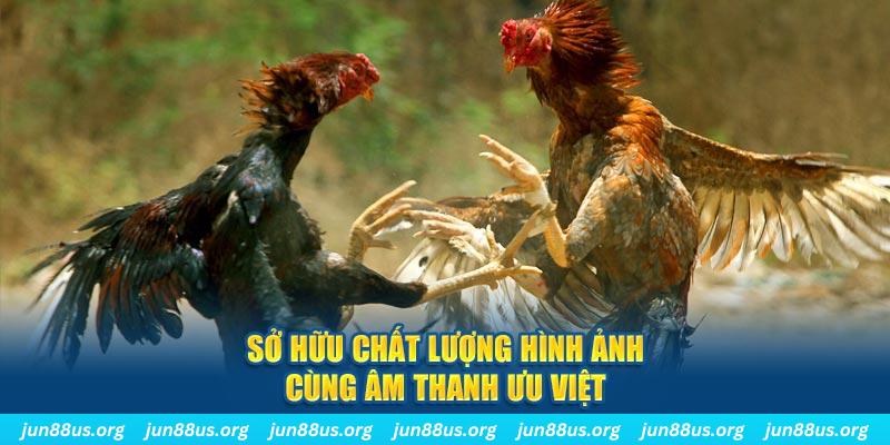 vn68 tai game danh bai ve may tinh