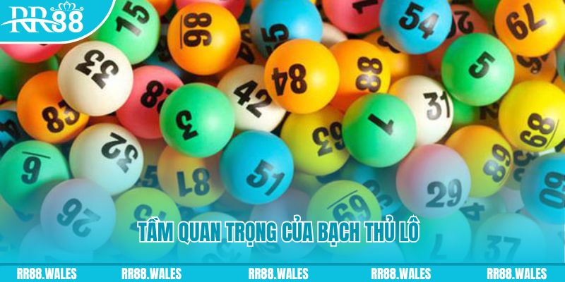 vn68 đá gà trực tiếp casino