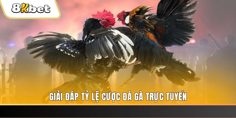 vn68 xổ số ba đài