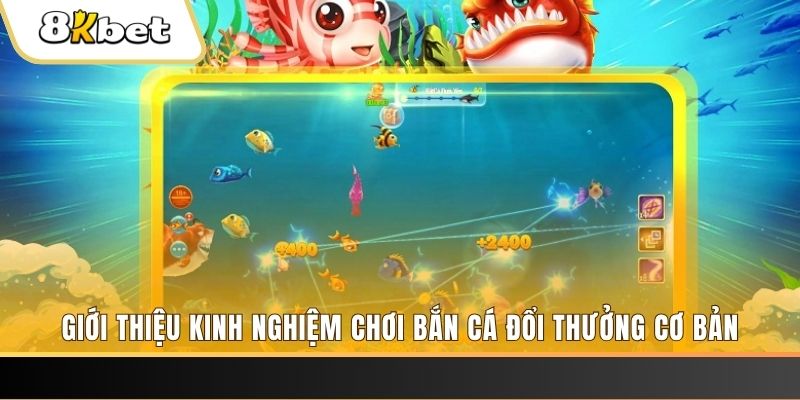 vn68 8 bí ẩn chơi nổ hũ ít ai biết