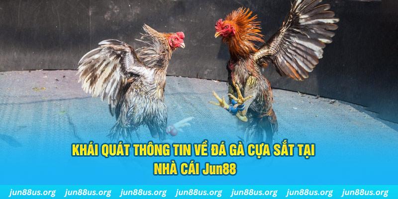 vn68 game bài trên máy tính