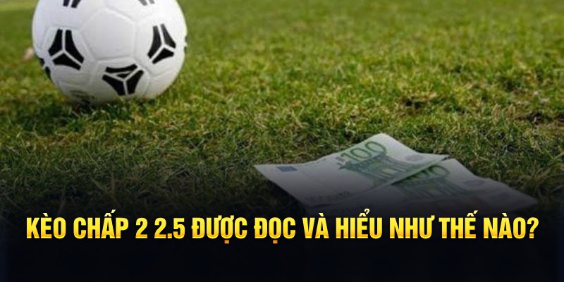 vn68 đá gà thomo