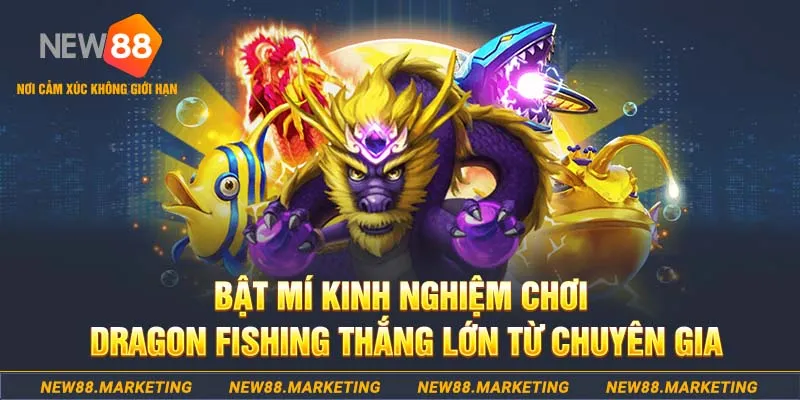 vn68 who wants to be a millionaire slot