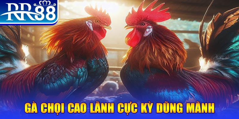 vn68 natural” trong baccarat nghĩa là gì？